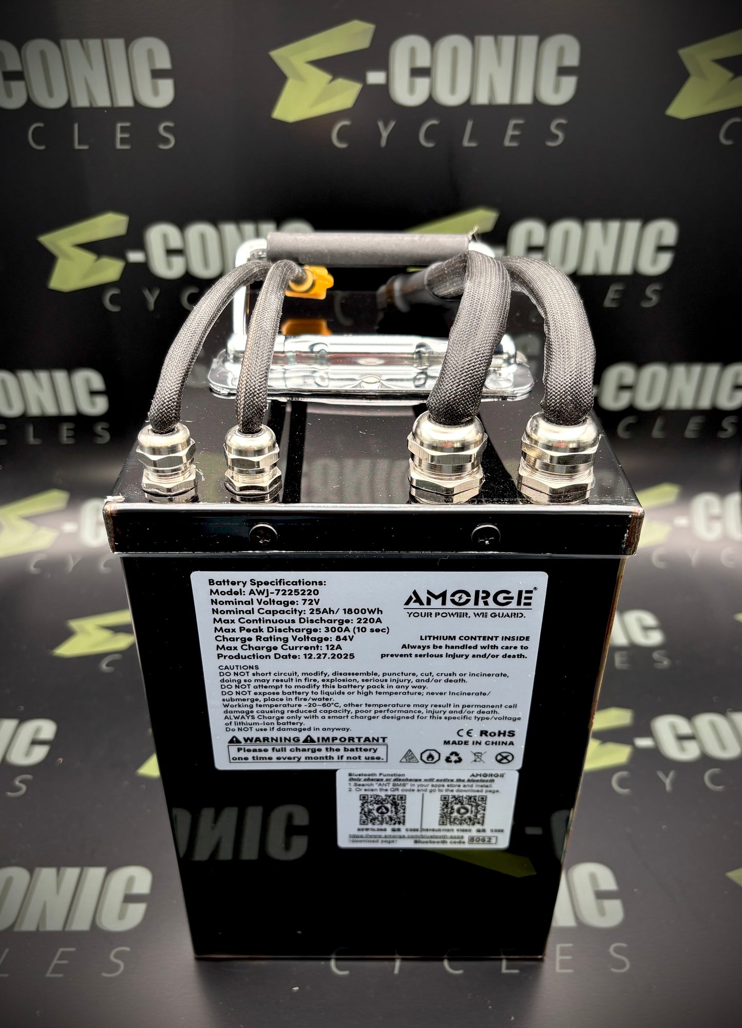 72V25AH (220A Continuous) Eve 50PL Lithium Ion Battery Pack in Metal Case for Tuttio Soleil01