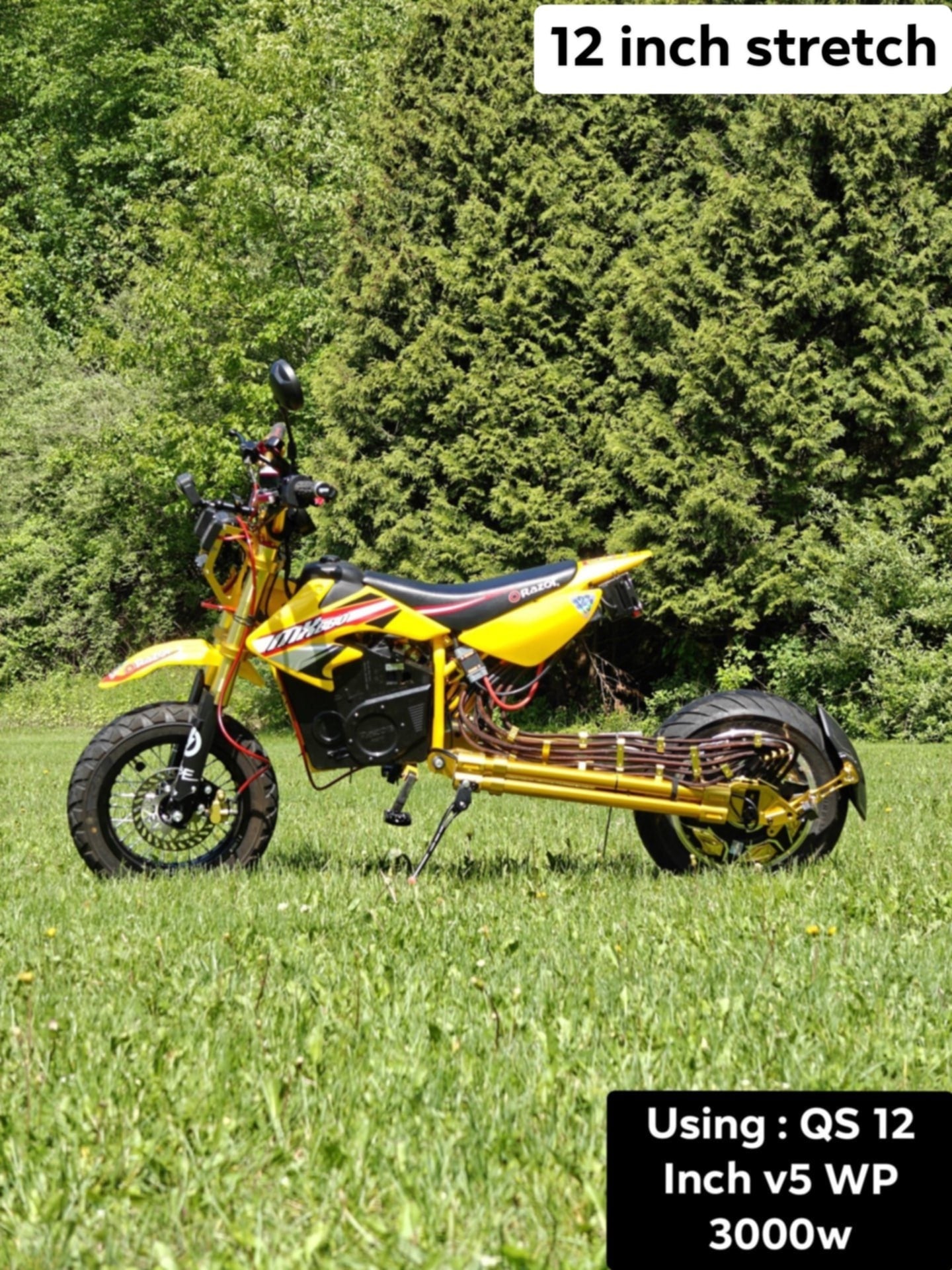 Limited Edition:  E-Conic QS Razor Swing Arm