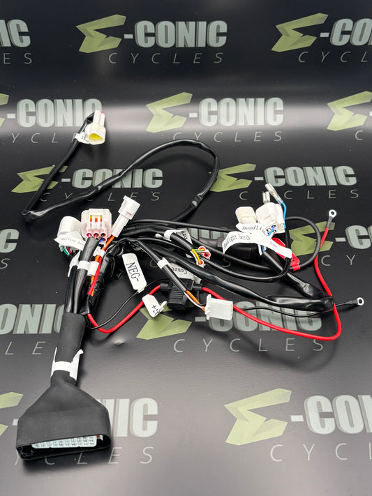 Stock Valtinsu EM-5 / Yozma IN10 Wire Harness