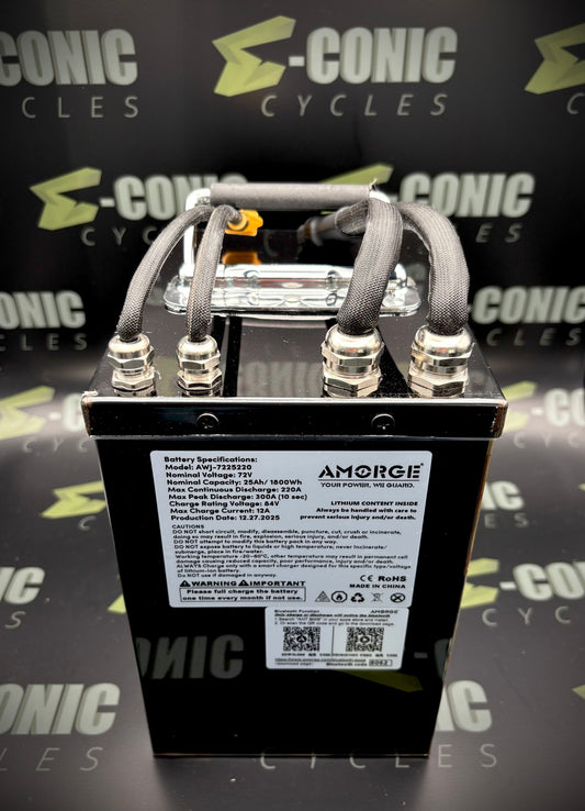 72V25AH (220A Continuous) Eve 50PL Lithium Ion Battery Pack in Metal Case for Tuttio Soleil01