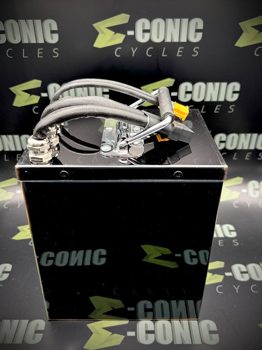 72V25AH (220A Continuous) Eve 50PL Lithium Ion Battery Pack in Metal Case for Tuttio Soleil01