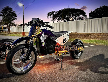 Limited Edition:  E-Conic QS Razor Swing Arm